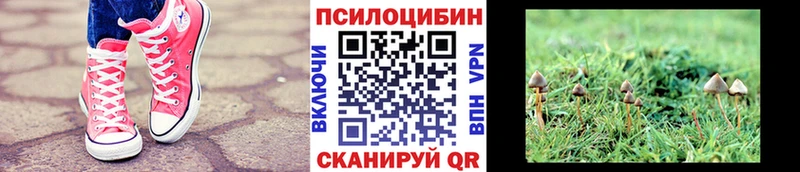 Купить закладки  Десногорск  Псилоцибиновые грибы прущие грибы 